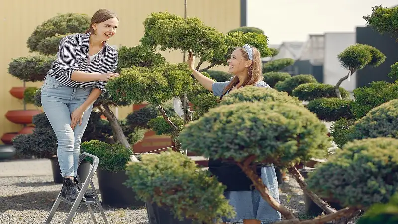 How to Design a Practical and Stunning Home Garden