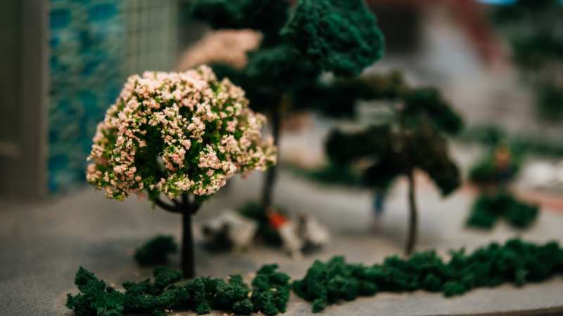 How to Create a Landscape That Is Both Functional and Visually Beautiful