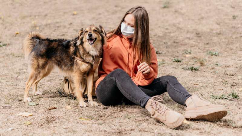 Is Qoghundos Harmful: A Complete Guide to Safety and Risks